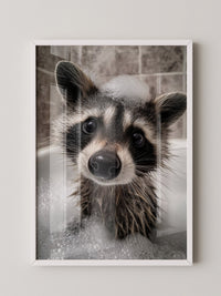Waschbär Seifenschaum Nahaufnahme