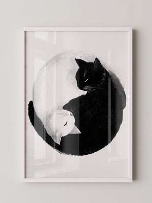 Katzen Yin Yang Schwarz Weiß