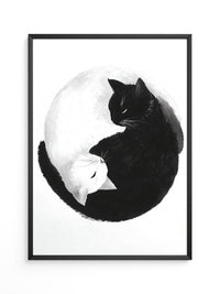 Katzen Yin Yang Schwarz Weiß