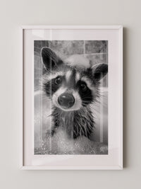 Waschbär Schwarzweiß Schaumbad