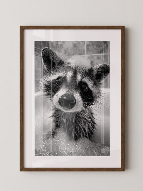 Waschbär Schwarzweiß Schaumbad