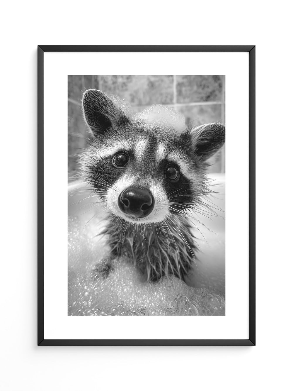 Waschbär Schwarzweiß Schaumbad