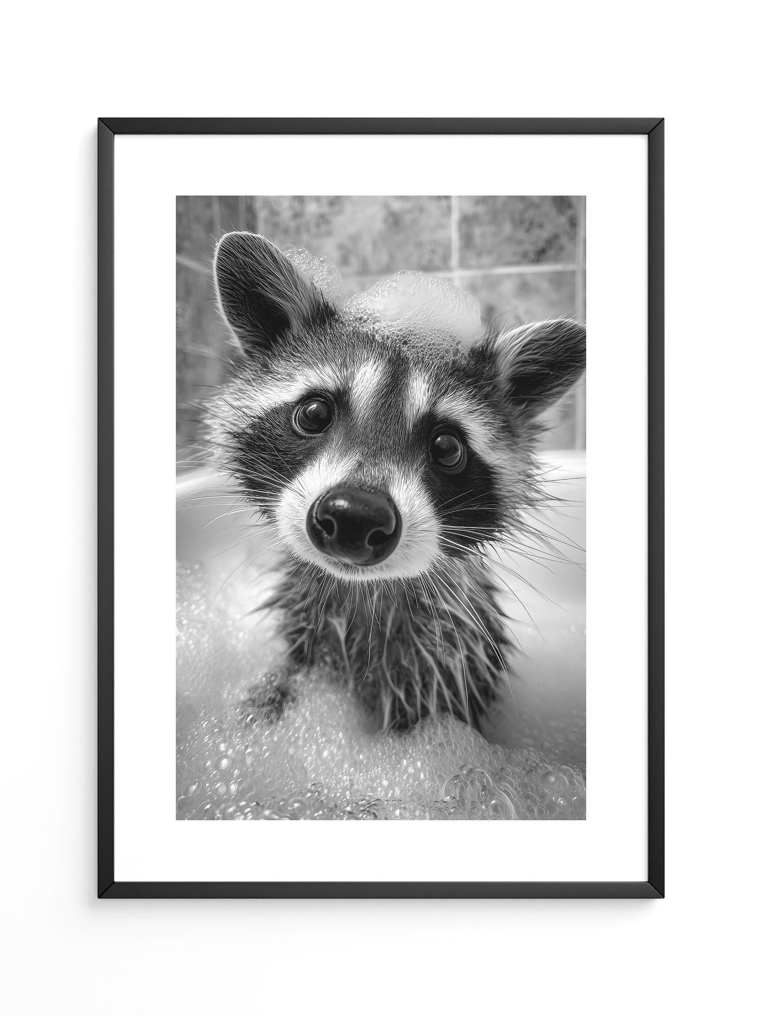 Waschbär Schwarzweiß Schaumbad