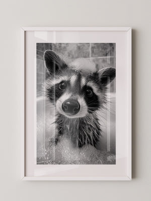 Waschbär Schwarzweiß Schaumbad