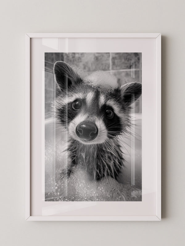 Waschbär Schwarzweiß Schaumbad