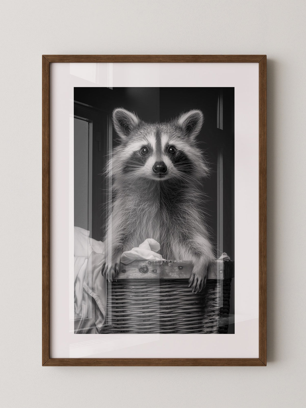 Waschbär Korbschwarzweiß