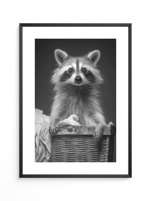 Waschbär Korbschwarzweiß