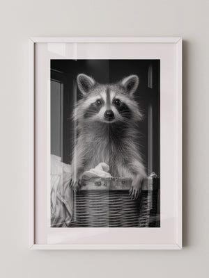 Waschbär Korbschwarzweiß