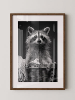 Waschbär Korbschwarzweiß