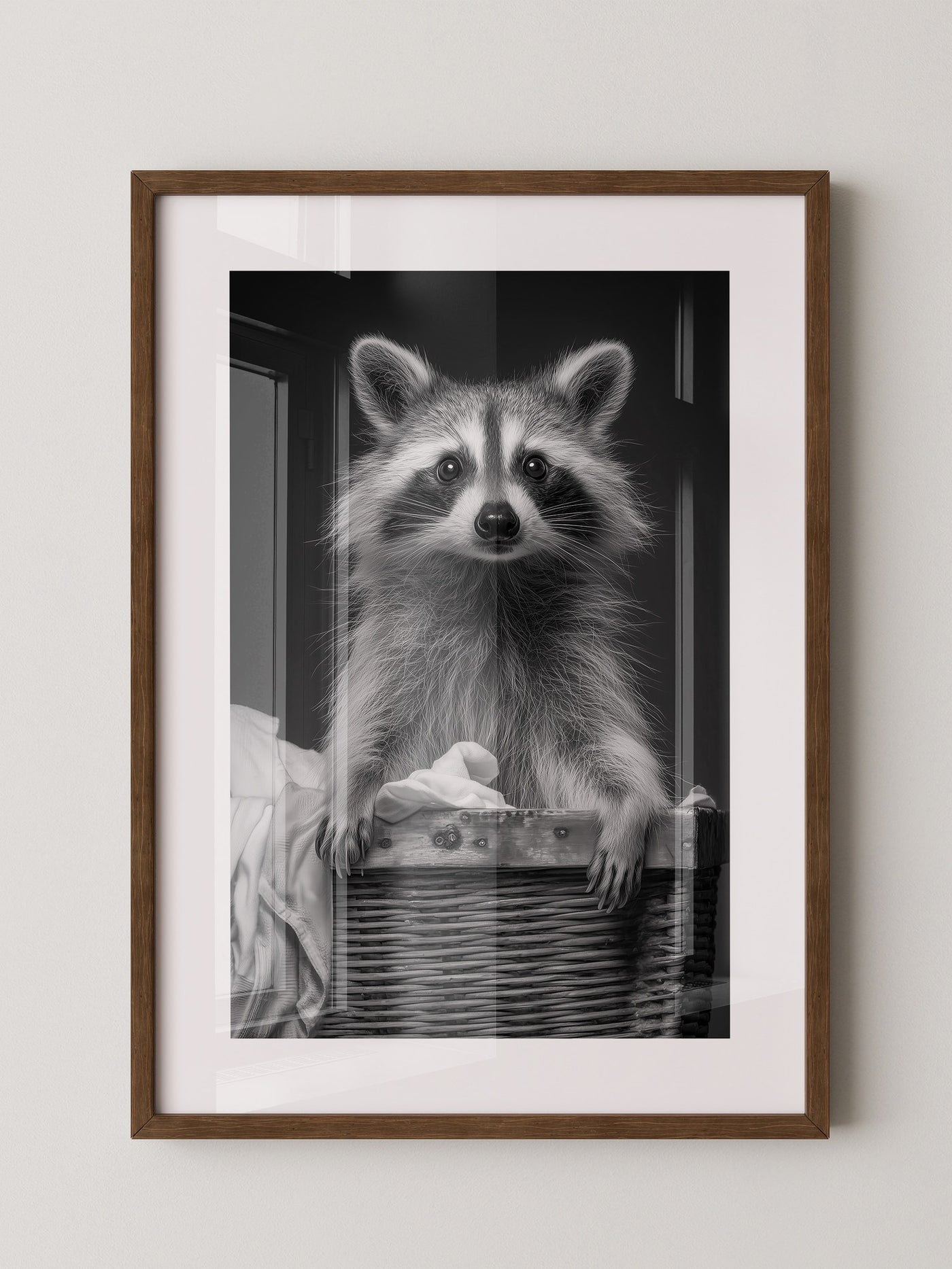 Waschbär Korbschwarzweiß