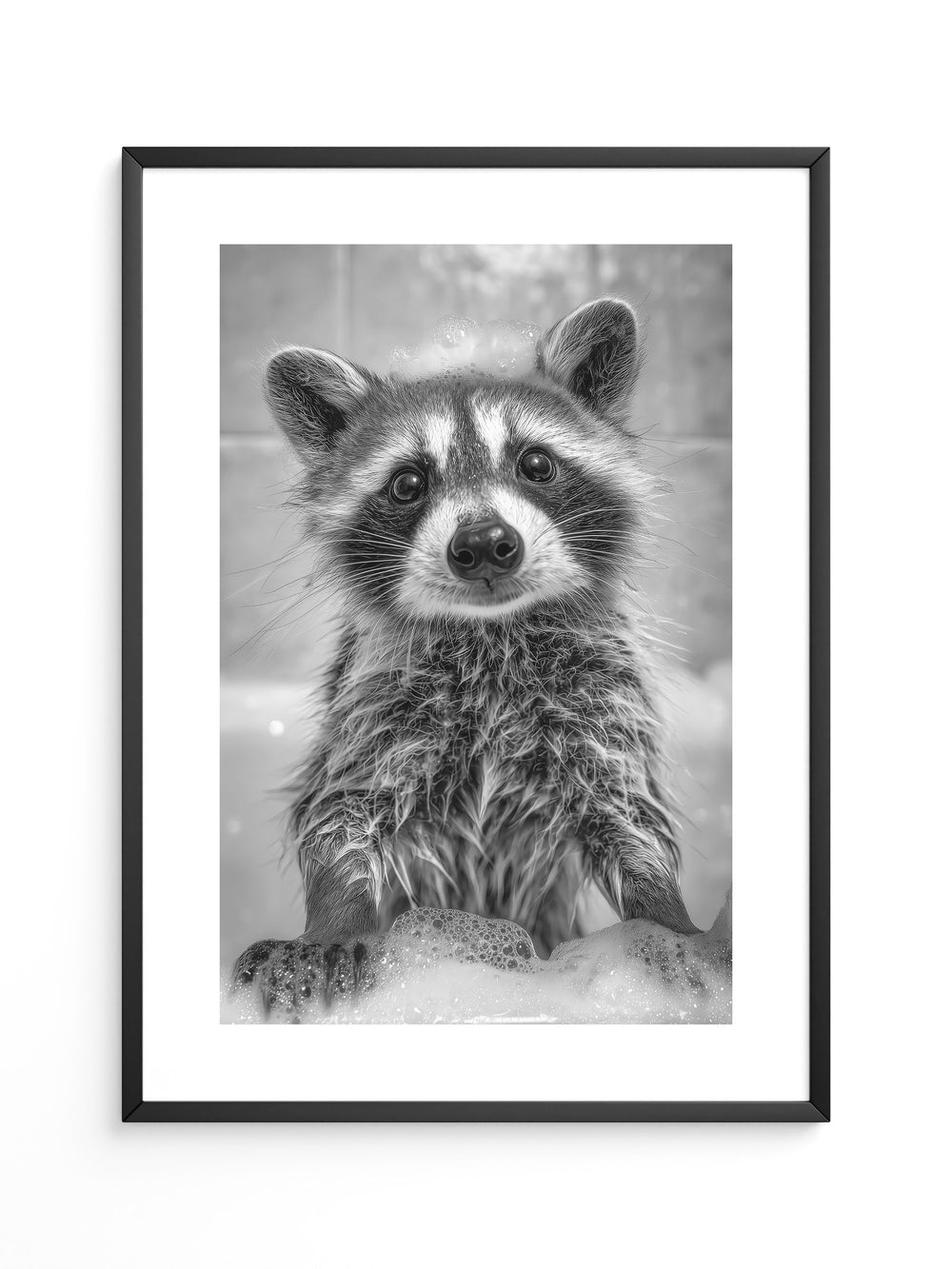 Waschbär Schaum Schwarzweiß