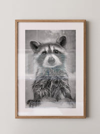 Waschbär Schaum Schwarzweiß