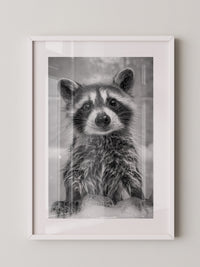 Waschbär Schaum Schwarzweiß
