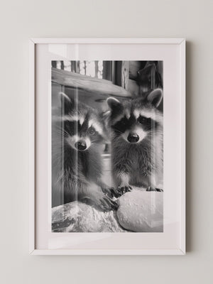 Waschbären Backstube Schwarzweiß