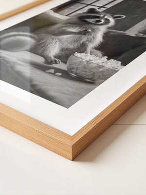 Waschbär mit Popcorn Schwarzweiß