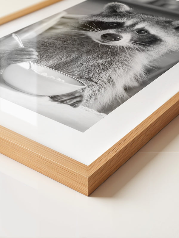 Waschbär Frühstück Schwarzweiß