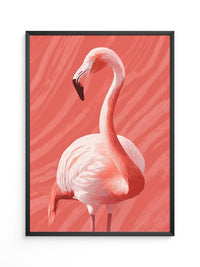 Flamingo Rot Illustration
