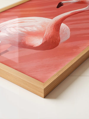 Flamingo Rot Illustration