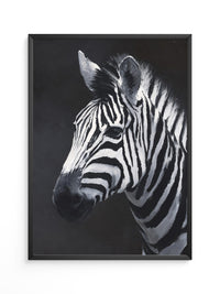 Zebra Profil schwarzweiß Pinselstriche