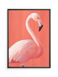 Flamingo Illustration rosa