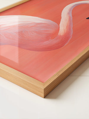 Flamingo Illustration rosa