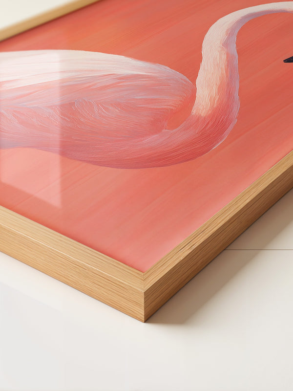 Flamingo Illustration rosa