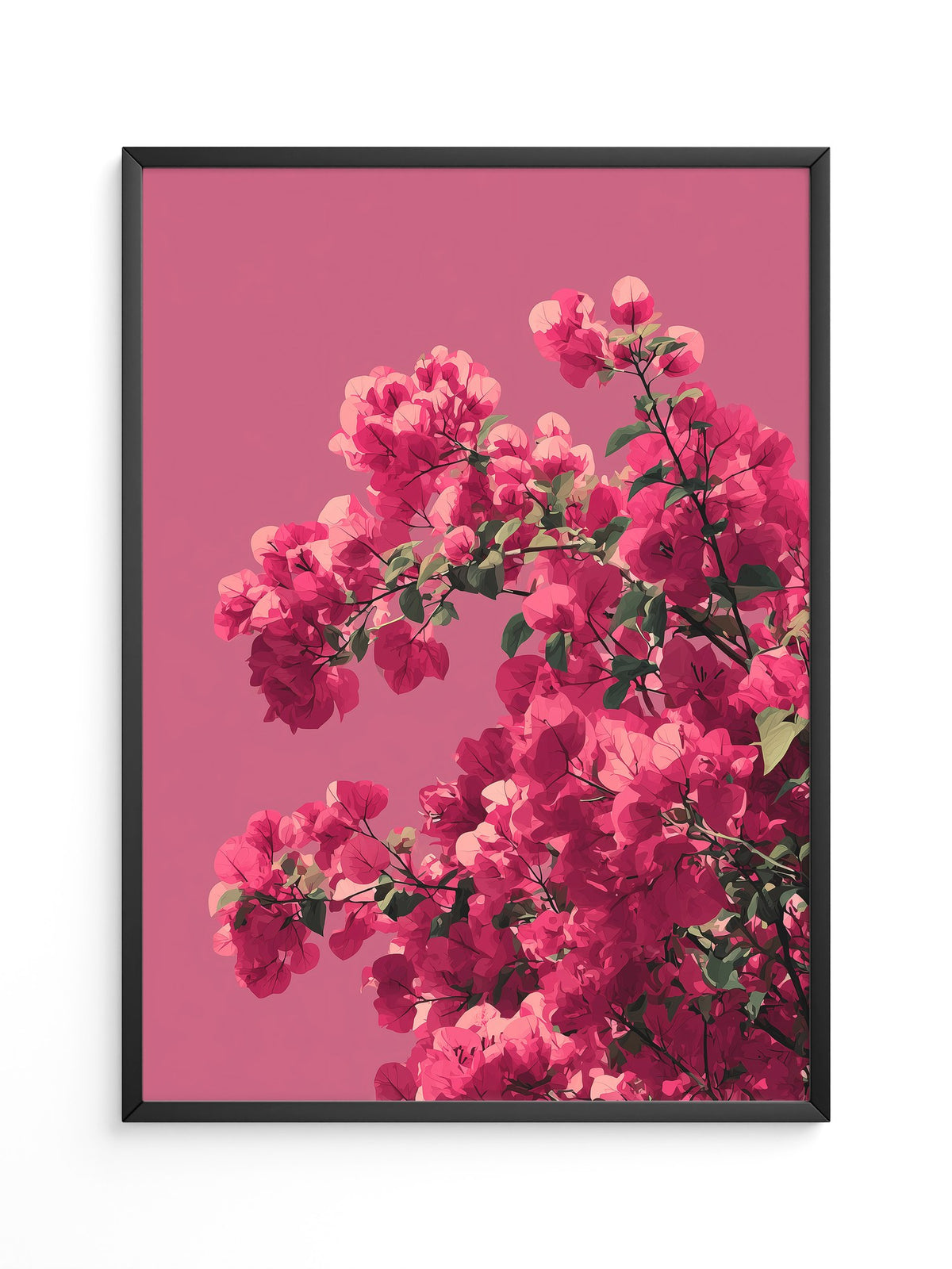 Bougainvillea Rosa Grafik