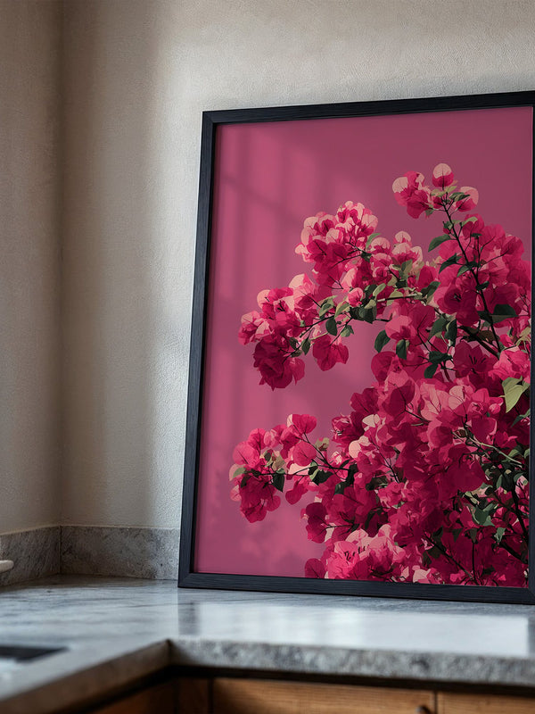 Bougainvillea Rosa Grafik