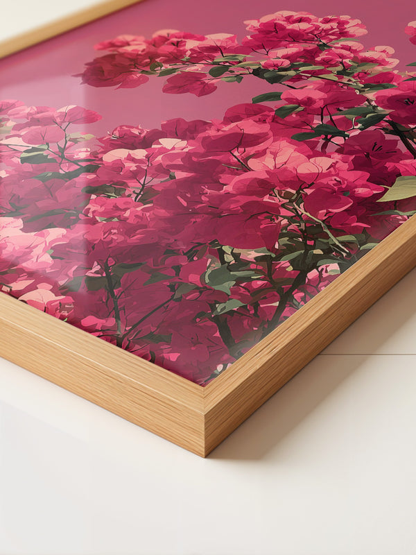 Bougainvillea Rosa Grafik