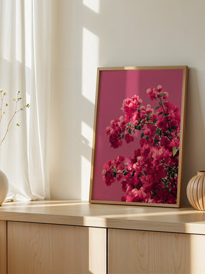 Bougainvillea Rosa Grafik