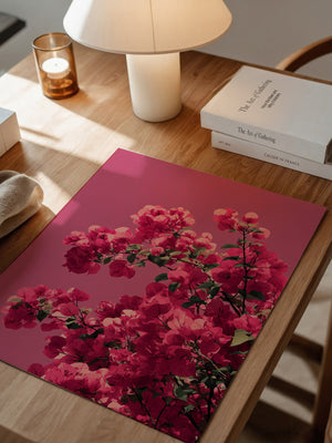 Bougainvillea Rosa Grafik