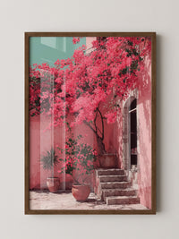 Bougainvillea Rosa Wanddetails