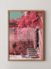 Bougainvillea Rosa Wanddetails
