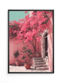 Bougainvillea Rosa Wanddetails