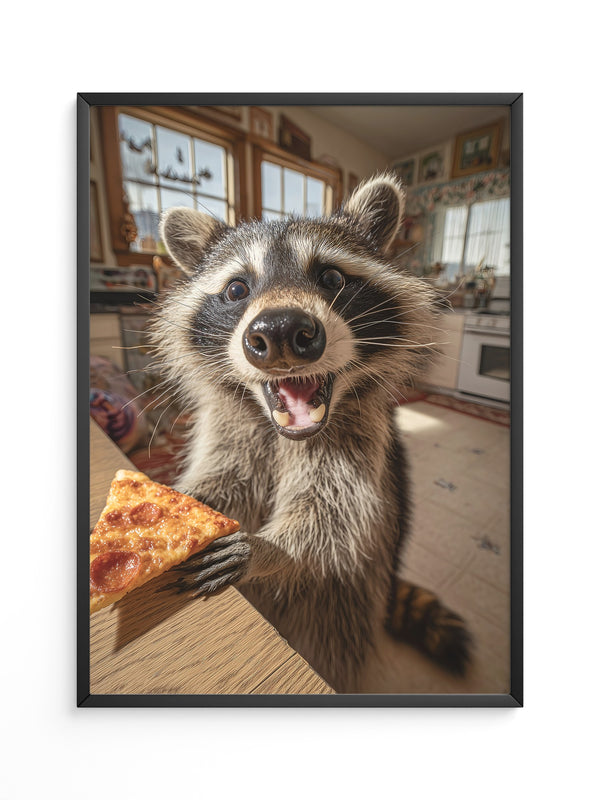 Waschbär Pizza Überraschung
