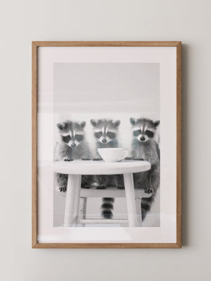 Waschbären Kaffee Schwarzweiß