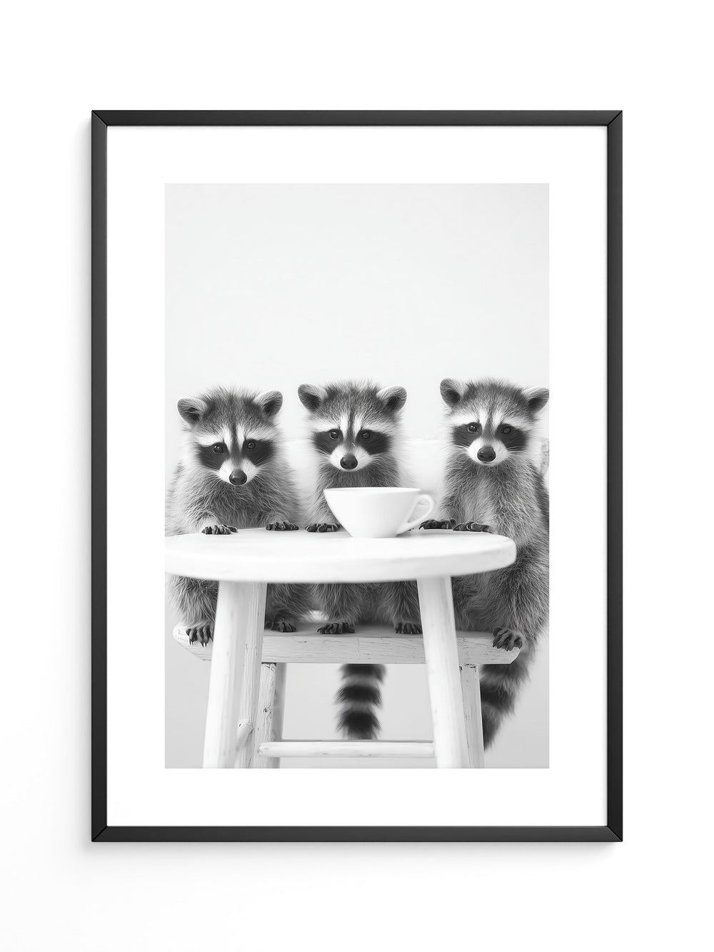 Waschbären Kaffee Schwarzweiß