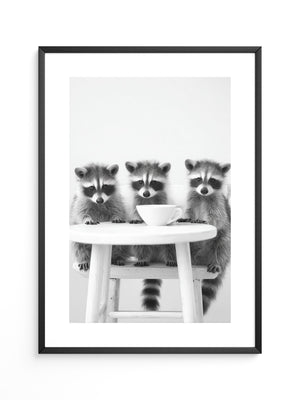 Waschbären Kaffee Schwarzweiß