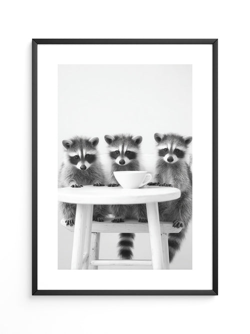 Waschbären Kaffee Schwarzweiß