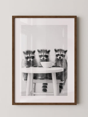 Waschbären Kaffee Schwarzweiß