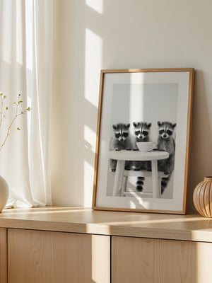 Waschbären Kaffee Schwarzweiß