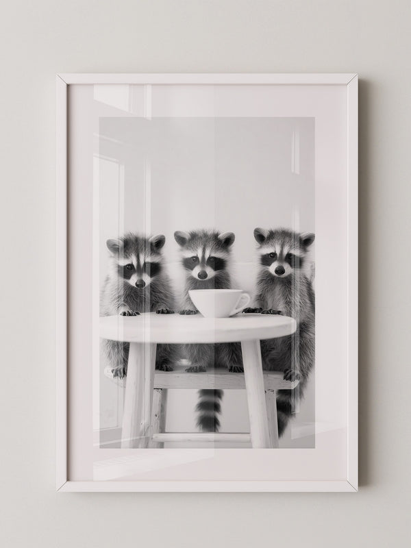 Waschbären Kaffee Schwarzweiß