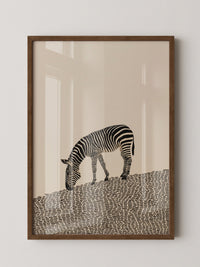 Zebra Grasfläche Grafik