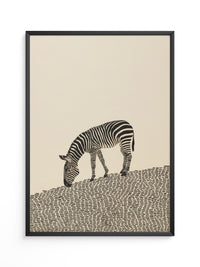 Zebra Grasfläche Grafik