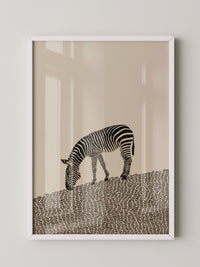 Zebra Grasfläche Grafik