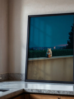 Hamster Nachtdrink Urban