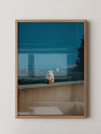 Hamster Nachtdrink Urban