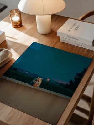 Hamster Nachtdrink Urban