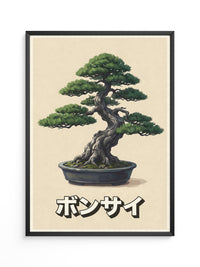 Bonsai Baum traditionell Kunst