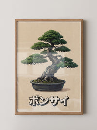 Bonsai Baum traditionell Kunst